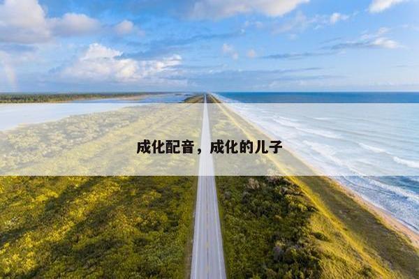 成化配音，成化的儿子