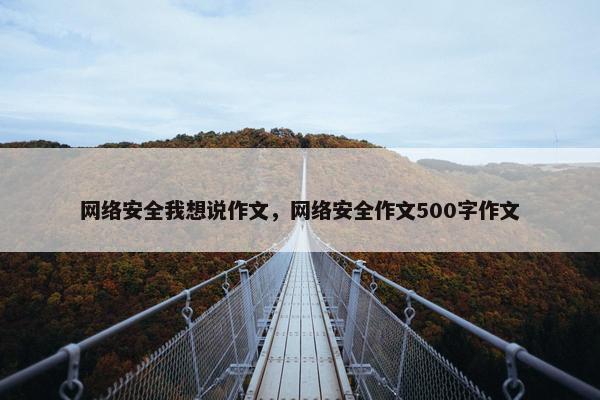网络安全我想说作文，网络安全作文500字作文