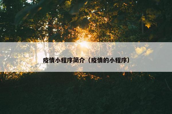 疫情小程序简介（疫情的小程序）