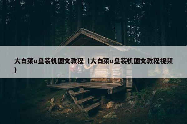 大白菜u盘装机图文教程（大白菜u盘装机图文教程视频）