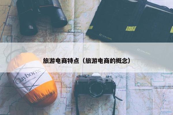 旅游电商特点（旅游电商的概念）