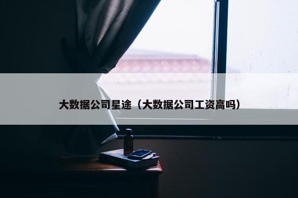 大数据公司星途（大数据公司工资高吗）