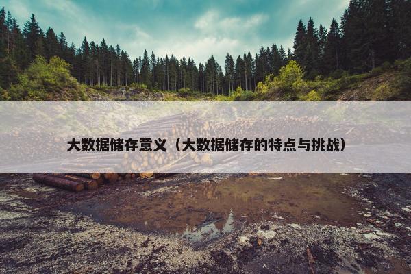 大数据储存意义（大数据储存的特点与挑战）