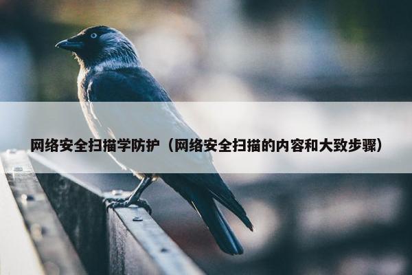 网络安全扫描学防护（网络安全扫描的内容和大致步骤）