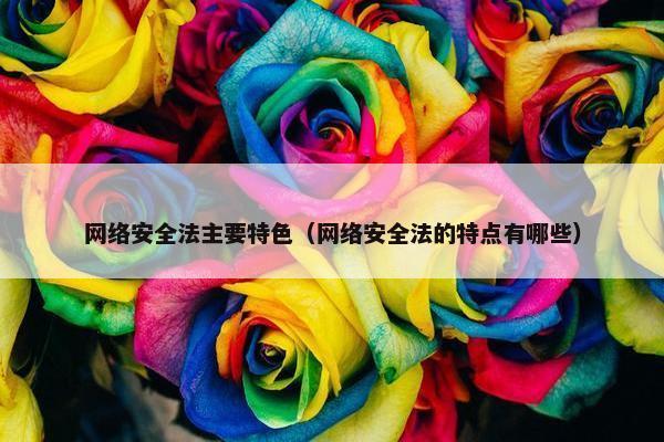 网络安全法主要特色（网络安全法的特点有哪些）
