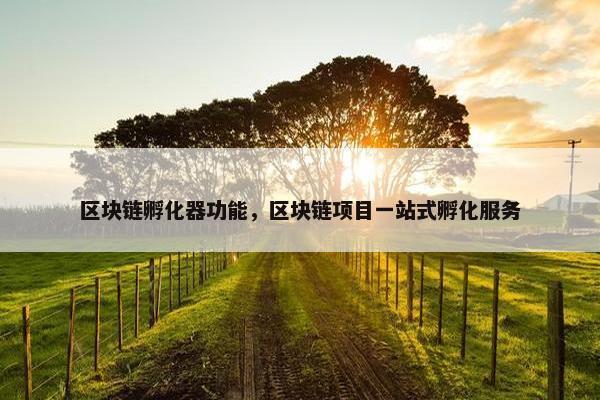 区块链孵化器功能，区块链项目一站式孵化服务