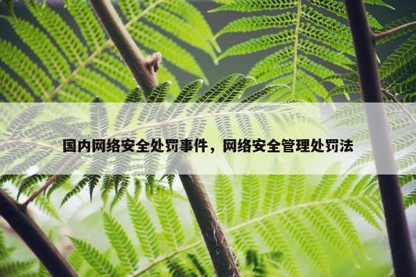 国内网络安全处罚事件，网络安全管理处罚法