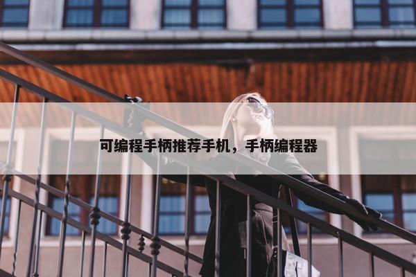 可编程手柄推荐手机，手柄编程器