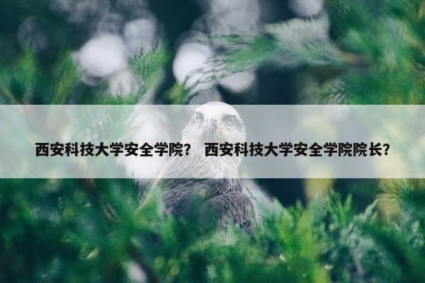 西安科技大学安全学院？ 西安科技大学安全学院院长？