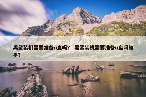 黑鲨装机需要准备u盘吗？ 黑鲨装机需要准备u盘吗知乎？
