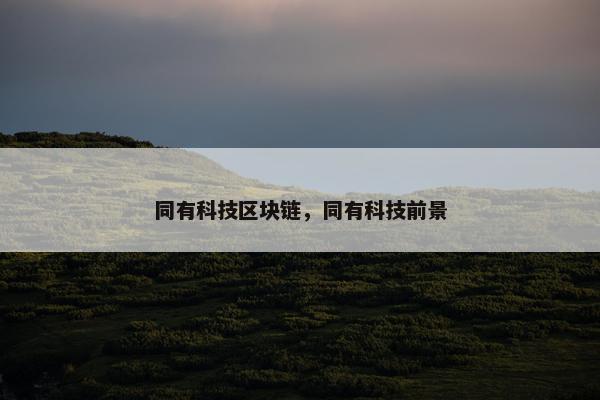 同有科技区块链，同有科技前景
