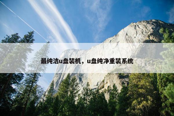 最纯洁u盘装机，u盘纯净重装系统