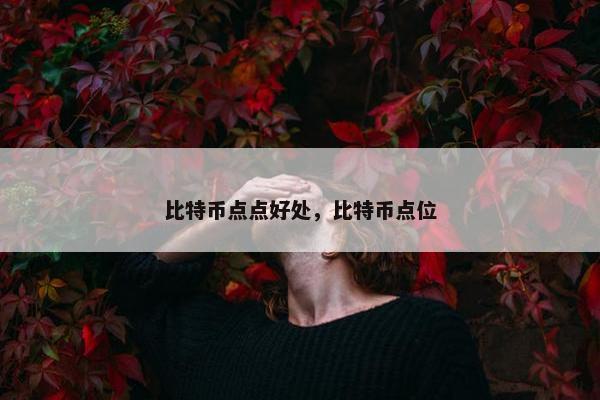 比特币点点好处，比特币点位