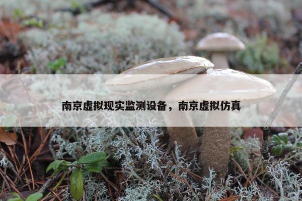 南京虚拟现实监测设备，南京虚拟仿真