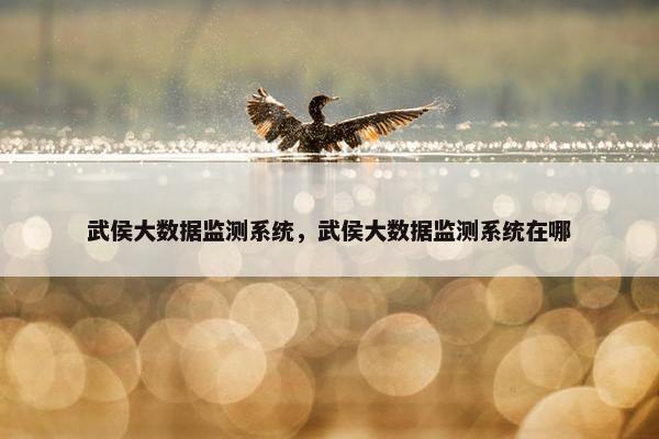 武侯大数据监测系统，武侯大数据监测系统在哪
