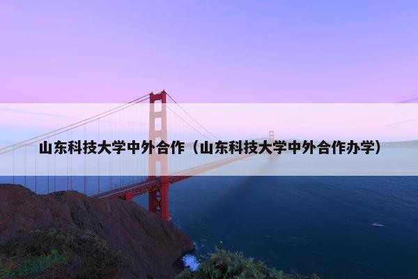 山东科技大学中外合作（山东科技大学中外合作办学）