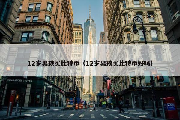 12岁男孩买比特币（12岁男孩买比特币好吗）