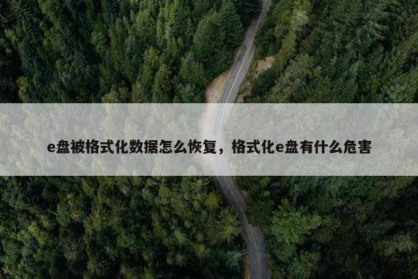 e盘被格式化数据怎么恢复，格式化e盘有什么危害