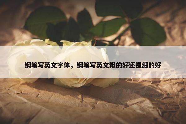钢笔写英文字体，钢笔写英文粗的好还是细的好