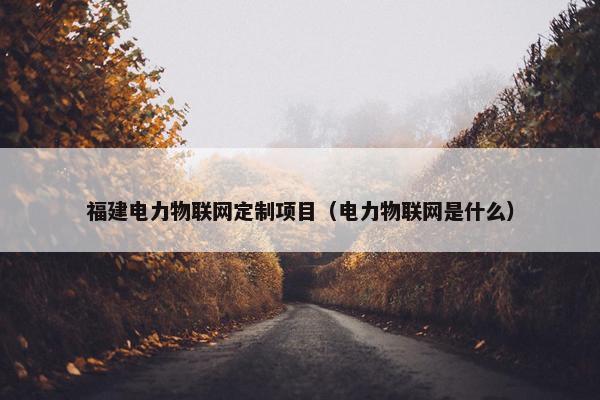 福建电力物联网定制项目（电力物联网是什么）