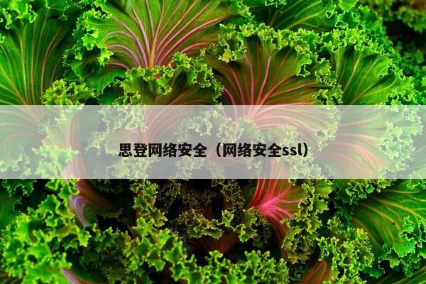 思登网络安全（网络安全ssl）