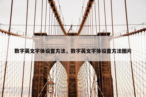数字英文字体设置方法，数字英文字体设置方法图片