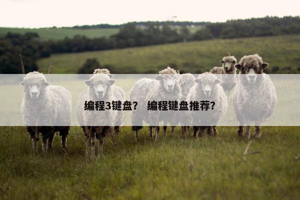 编程3键盘？ 编程键盘推荐？