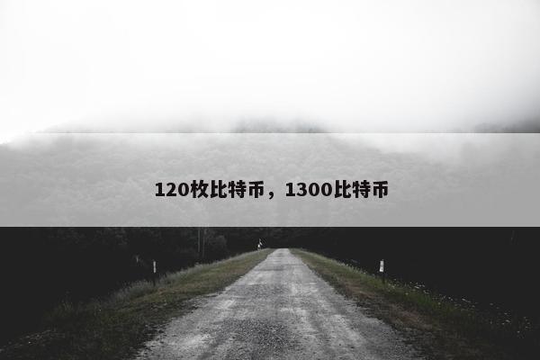120枚比特币，1300比特币