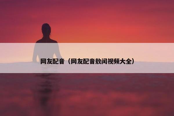 网友配音（网友配音敖闰视频大全）