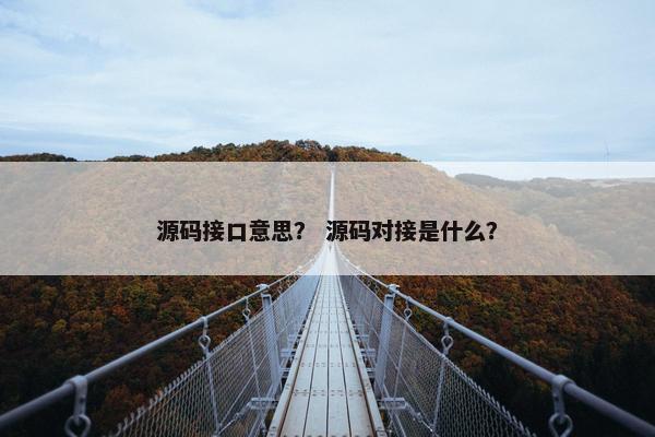 源码接口意思？ 源码对接是什么？