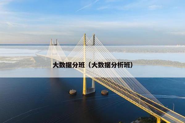 大数据分班（大数据分析班）