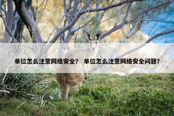 单位怎么注意网络安全？ 单位怎么注意网络安全问题？