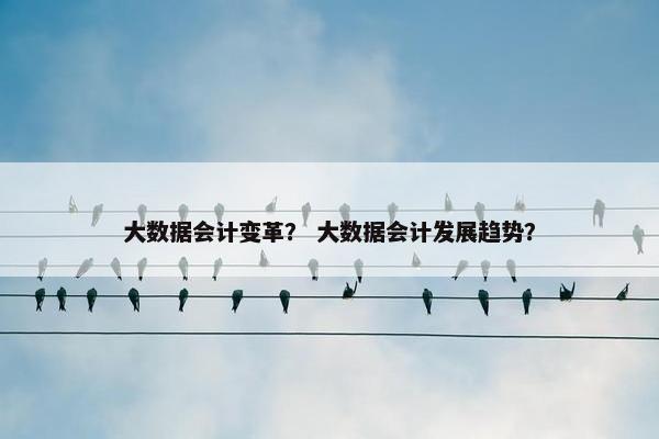 大数据会计变革？ 大数据会计发展趋势？