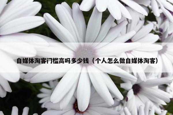自媒体淘客门槛高吗多少钱（个人怎么做自媒体淘客）