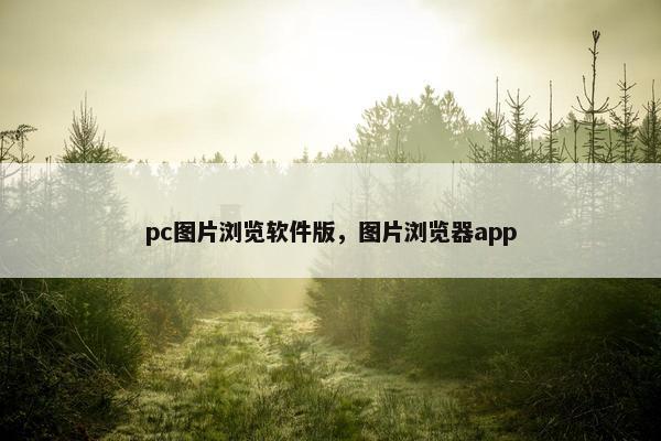 pc图片浏览软件版，图片浏览器app