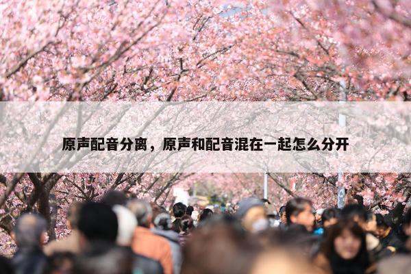 原声配音分离，原声和配音混在一起怎么分开