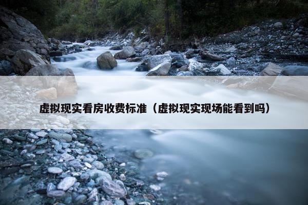 虚拟现实看房收费标准（虚拟现实现场能看到吗）