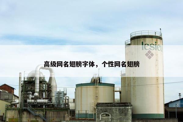 高级网名翅膀字体，个性网名翅膀