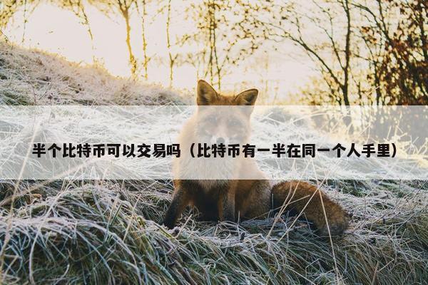 半个比特币可以交易吗（比特币有一半在同一个人手里）