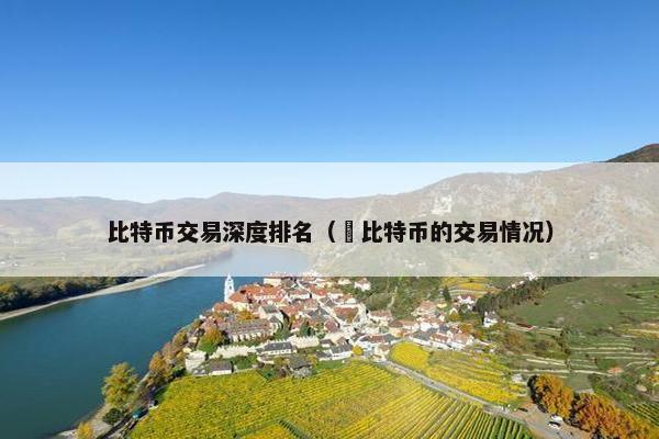 比特币交易深度排名（犇比特币的交易情况）