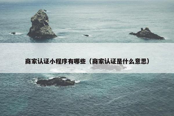 商家认证小程序有哪些（商家认证是什么意思）