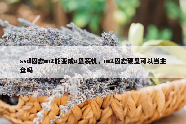 ssd固态m2能变成u盘装机，m2固态硬盘可以当主盘吗