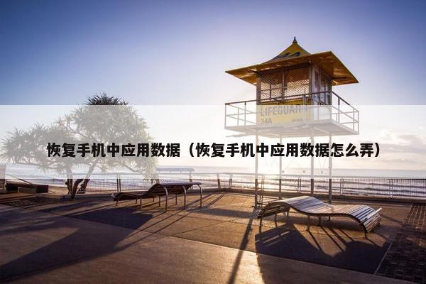恢复手机中应用数据（恢复手机中应用数据怎么弄）