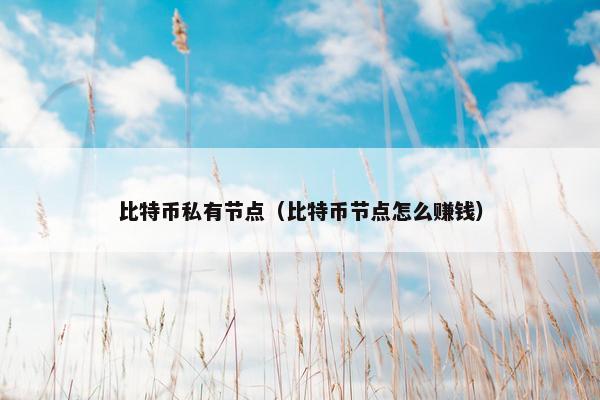 比特币私有节点（比特币节点怎么赚钱）