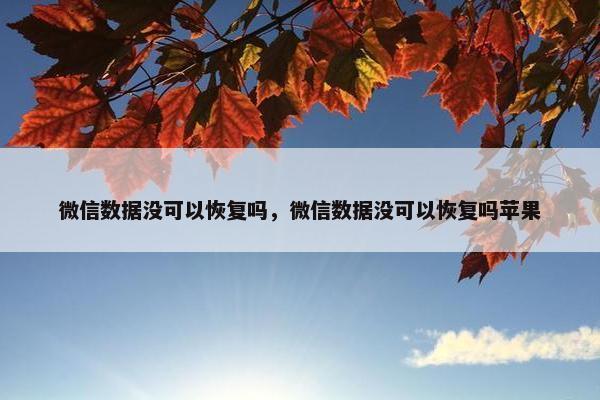 微信数据没可以恢复吗，微信数据没可以恢复吗苹果