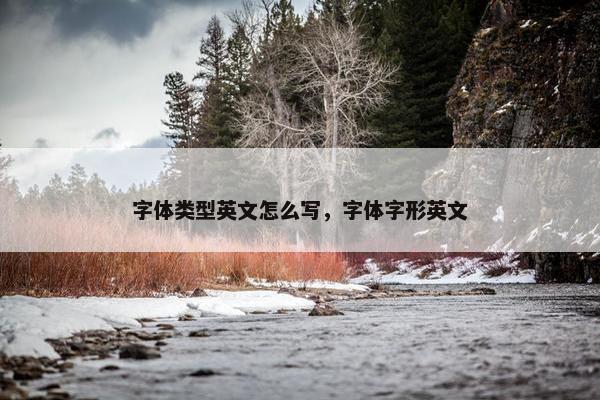 字体类型英文怎么写，字体字形英文