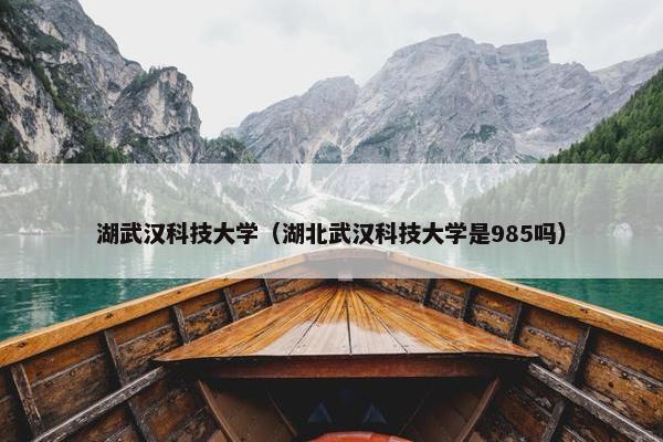 湖武汉科技大学（湖北武汉科技大学是985吗）