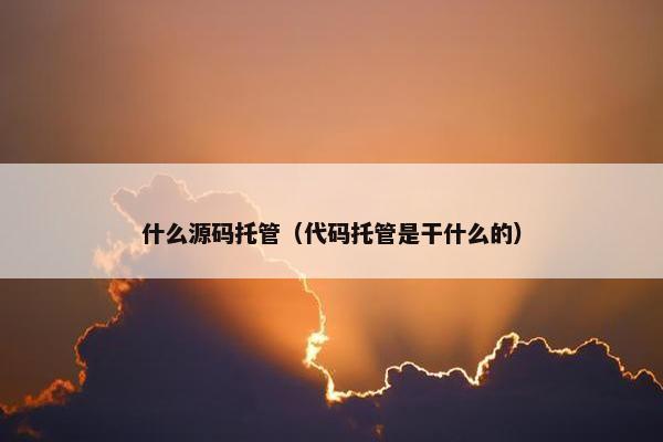 什么源码托管（代码托管是干什么的）