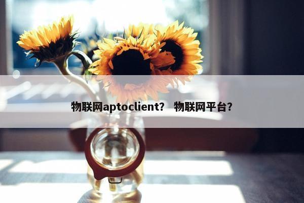 物联网aptoclient？ 物联网平台？