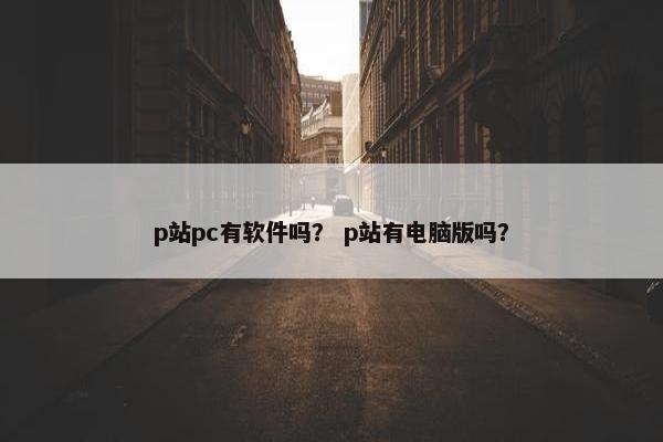 p站pc有软件吗？ p站有电脑版吗？